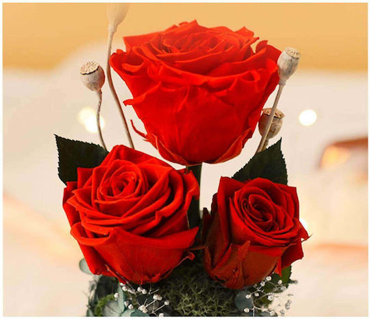 Ewige Rose Rot 23.5cm in Yala mit LED Giftland