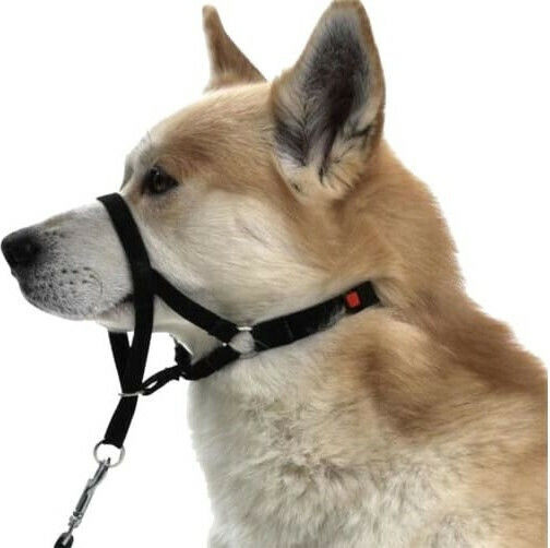 Trixie Training Dog Muzzle with Neck Strap Medium 27cm