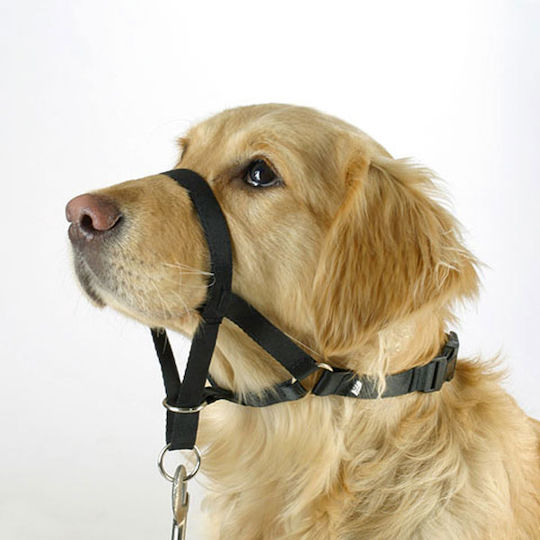 Pawise Pawise Dog Muzzle Training Dog Muzzle for Training and Education Diameter 24cm 24cm