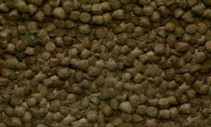 Sera Shrimps Natural Shrimp Food Granules with Spirulina 100ml