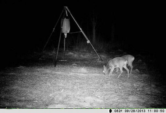 Clever SecurityCam Waterproof Hunting Camera Night Vision with Motion Detection
