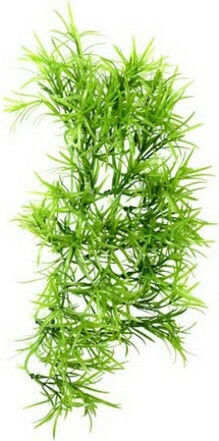 Hobby Aquaristik Climber Tropica Hanging Accessory for Reptiles Terrarium