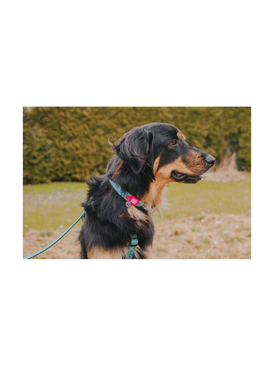 Max & Molly Retro Blue Κολάρο σε Μπλε χρώμα Medium 20mm x 34 - 55cm Max & Molly Retro Blue Κολάρο σε Μπλε χρώμα Medium 20mm x 34 - 55cm