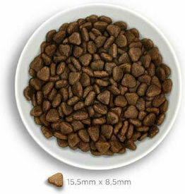 Amanova Adult Exigent 2kg Dry Food Grain-Free for Adult Dogs with Pork