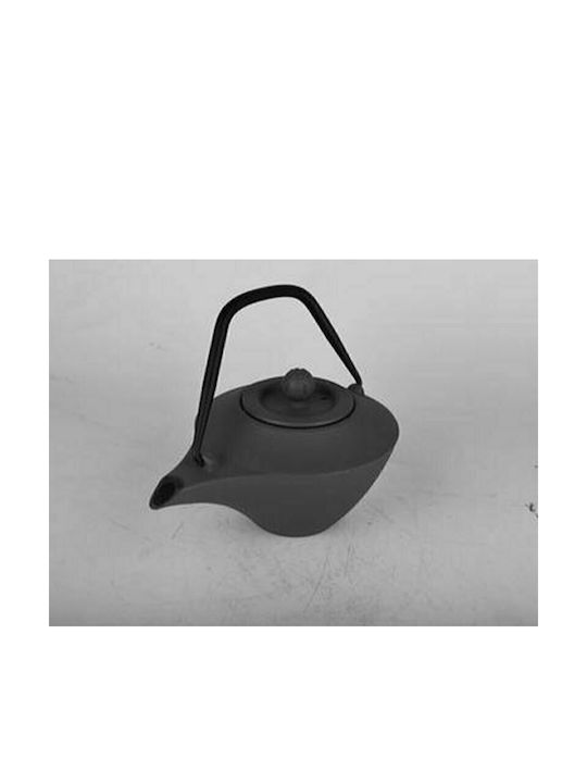 Dinox Teapot with Filter Cast Iron Black 500ml