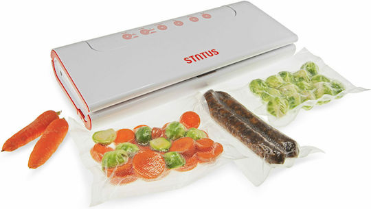 Status Vacuum Sealer External with Maximum Sealing Length 280mm Automatic HV100