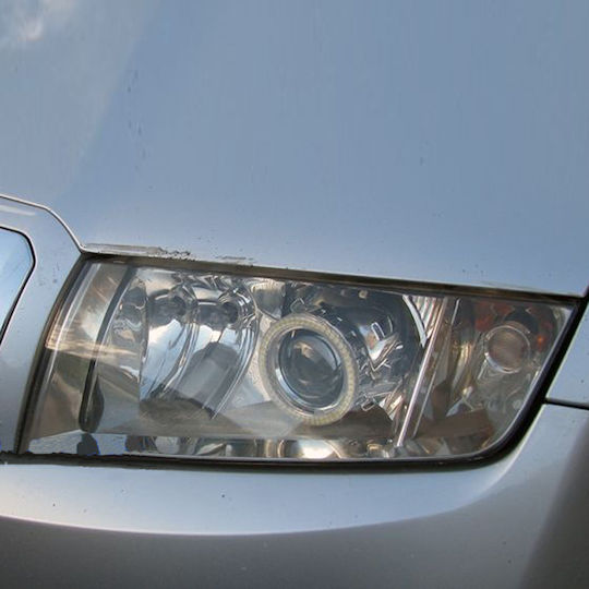 Carner Universal 12V 6.35cm 2τμχ