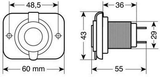 Lampa Zigarettenanzünder-Adapter Auto 12V - 24V