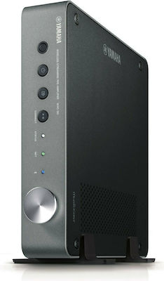 Yamaha WX-C50 S000.30911 Стример