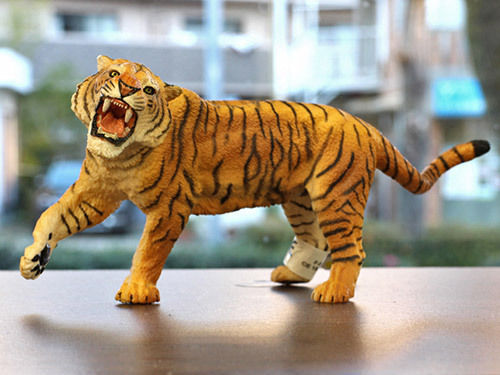 Papo Papo Miniatur-Spaßspielzeug Tiger 8cm (Mehrfach Designs)