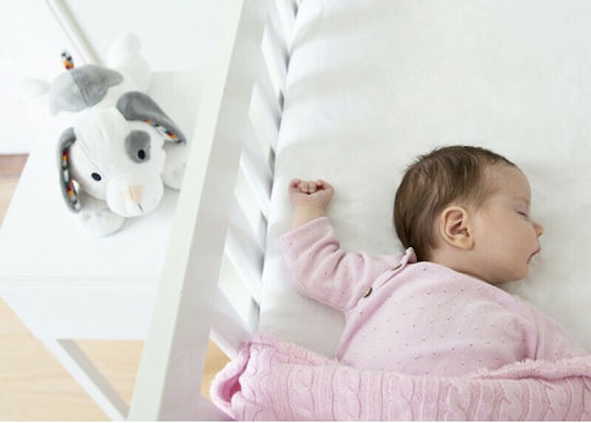 Zazu Sleep Toy Dex made of Fabric with White Noise and Cry Sensor for 0++ Months