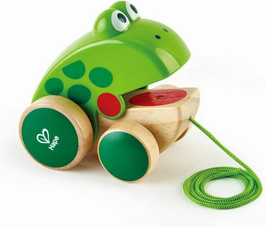 Hape Pull-Along Toy Walk-A-Long Frog made of Wood with Sounds for 12++ Months