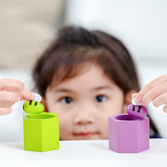 Plan Toys Βρεφικό Παιχνίδι Παιχνίδι Κυψέλες από Ξύλο για 36+ Μηνών