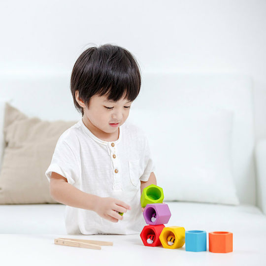 Plan Toys Βρεφικό Παιχνίδι Παιχνίδι Κυψέλες από Ξύλο για 36+ Μηνών