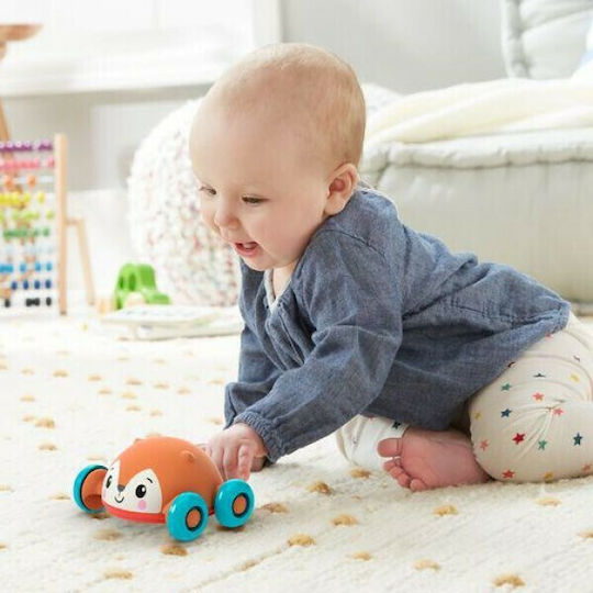 Fisher Price Push Along Animal Balls for 9++ Months (Various Designs/Assortments of Designs) 1pc