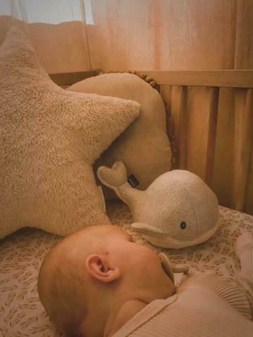 Flow Sleep Toy Moby the Whale made of Fabric with White Noise and Music for 0++ Months