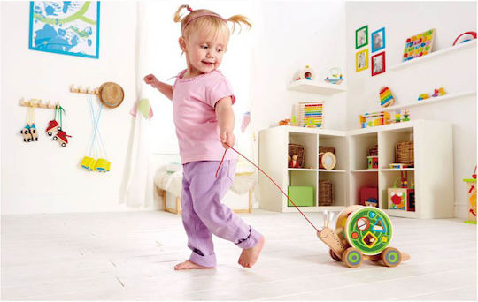 Hape Παιχνίδι Ταξινόμησης Σχημάτων Συρόμενο Σαλιγκάρι από Ξύλο για 12+ Μηνών