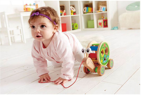 Hape Παιχνίδι Ταξινόμησης Σχημάτων Συρόμενο Σαλιγκάρι από Ξύλο για 12+ Μηνών