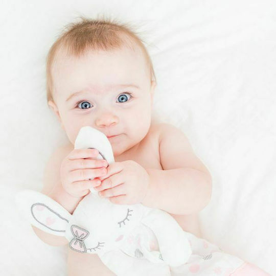Lulujo Πανάκι Μωρού Bunny Ροζ
