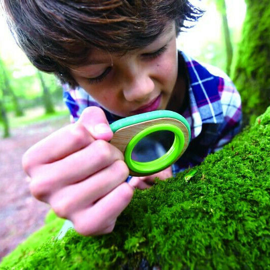 Hape Nature Detective Set Wooden For 5+ Years 27 cm 2 Pieces