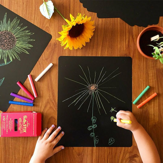 Jaq Jaq Bird Painting Reusable & Erasable Paper for Children 3+ years Years