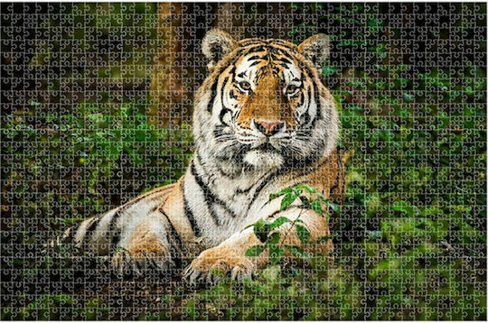Animal Planet Τίγρης Puzzle 2D 1000pcs