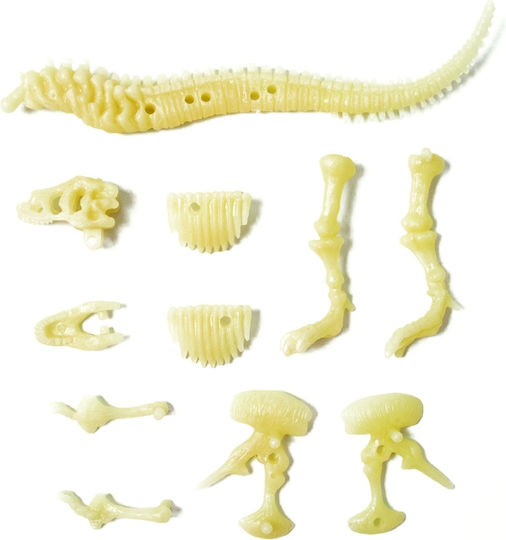 4M Παιχνίδι Κατασκευών Πλαστικό T Rex Skeleton για Παιδιά 5+ Ετών