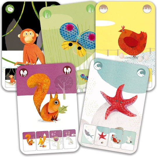 Djeco 7 Οικογένειες Ζώων Educational Game Knowledge for 4-7 Years Old