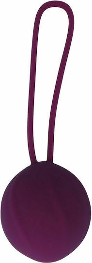 Coverme Kegel Kit Purple