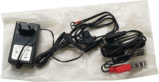 Skyrich Car Battery Charger 12V