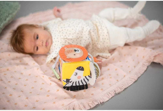 Taf Toys Pendant Toy for Car with Teether and Mirror Savannah Discovery Cube 12755