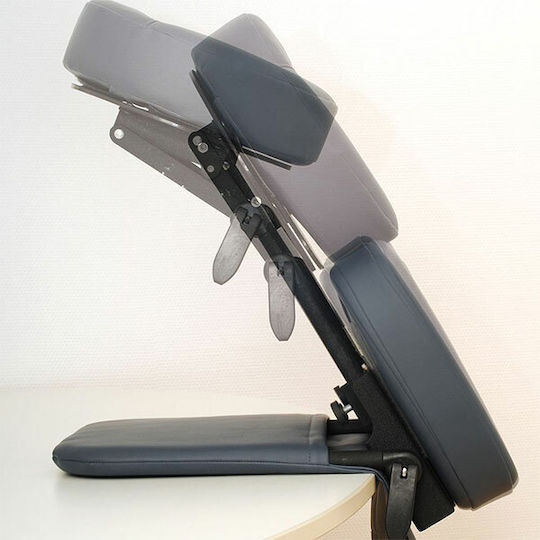 Sissel Desktop Mobil Massage and Physiotherapy Headrest