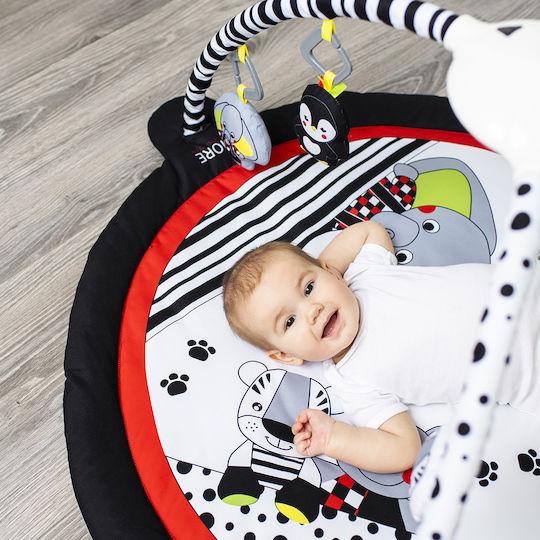 Babyono Baby Activity Gym for Newborns