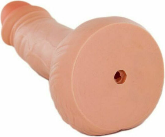 Dream Love Diablo Picante Penis Moneybox Αστείο Sexy Δώρο