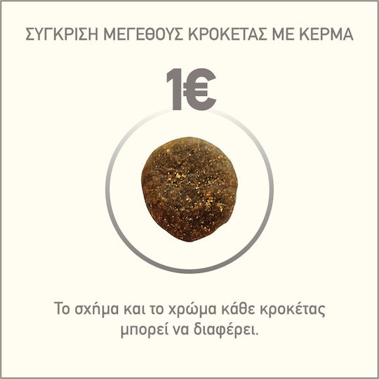 Orijen Original 2kg Ξηρά Τροφή Σκύλων χωρίς Σιτηρά & Γλουτένη με Γαλοπούλα, Κοτόπουλο και Ψάρια