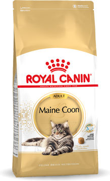 Royal Canin Maine Coon Adult Dry Food Gluten-Free for Adult Cats with Poultry / Rice 10kg