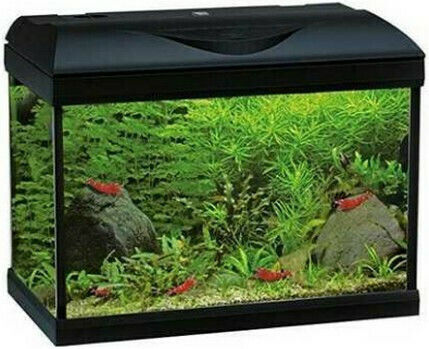 Croci Ενυδρείο Ψαριών Χωρητικότητας 20lt με 42x23.5x33εκ. Λευκό