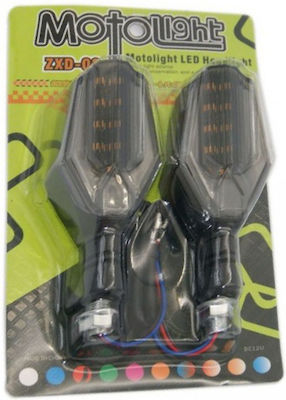 Flash Motorcycle LED 2pcs