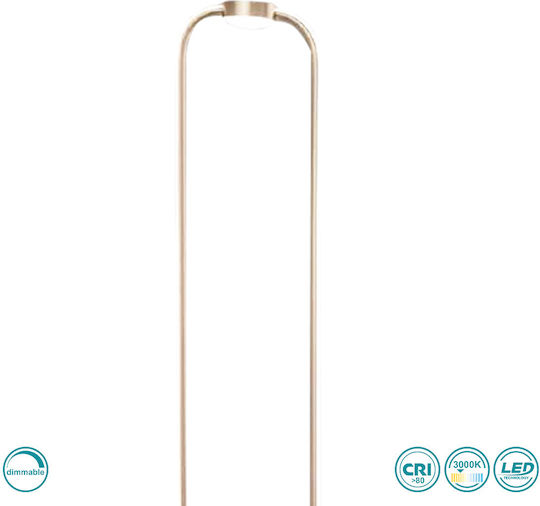 Ondaluce LED Floor Lamp H168xW28cm. with Warm White Light Gold