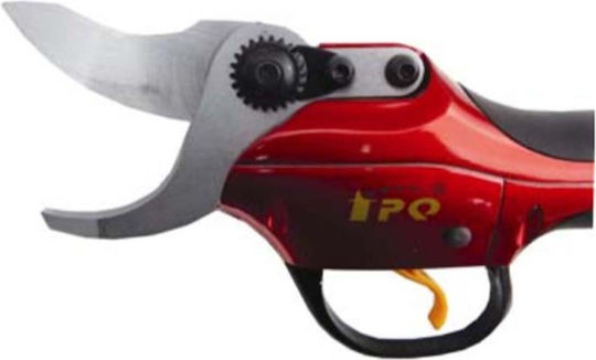 Fpq SCA3 Baumschere Batterie 36V 1x4Ah mit Maximalem Schnittdurchmesser 38mm im Transportkoffer