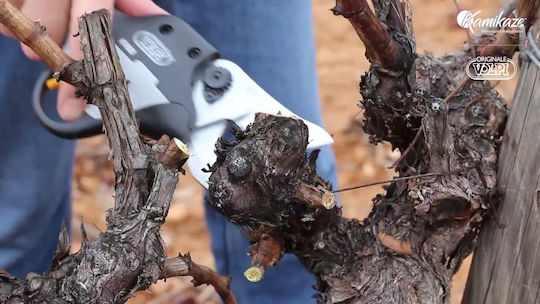 Volpi KV 600 Pruning Shears Battery 44V Brushless with Maximum Cutting Diameter 35mm