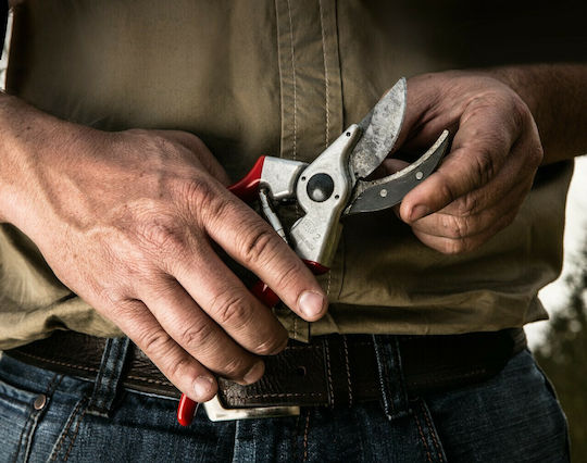 Felco 2 Pruning Shears with Maximum Cutting Diameter 25mm