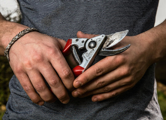 Felco 8 Ψαλίδι Κλαδέματος με Μέγιστη Διάμετρο Κοπής 25mm