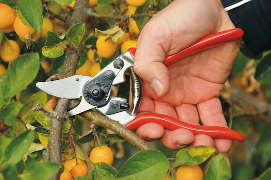 Felco 6 Ψαλίδι Κλαδέματος Μήκους 19.5cm με Μέγιστη Διάμετρο Κοπής 20mm