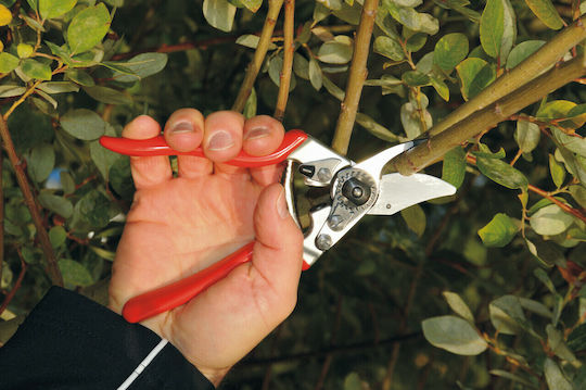 Felco 6 Ψαλίδι Κλαδέματος Μήκους 19.5cm με Μέγιστη Διάμετρο Κοπής 20mm