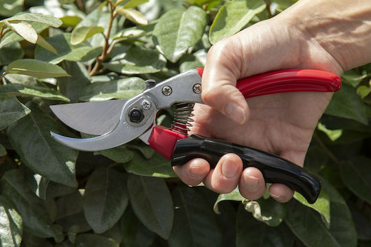 Ars VS-8XR Pruning Shear Length 20cm with Maximum Cutting Diameter 22mm