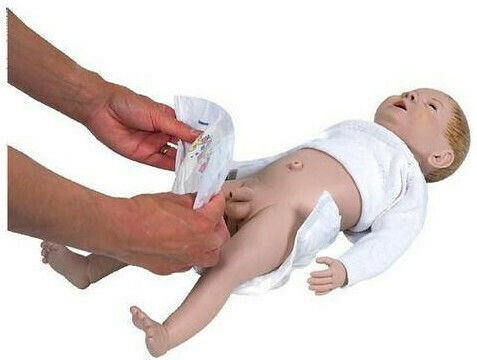 3b Scientific Modell Interaktives Training & CPR