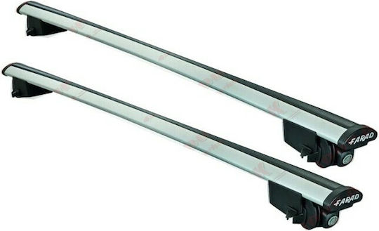 Farad BM 055 (with Roof Rack Legs and Lock) Silver