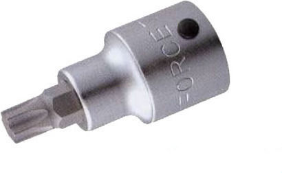 Force Socket 3/4" Torx Walnut with Torx Head and Socket 3/4'' T60x80mm