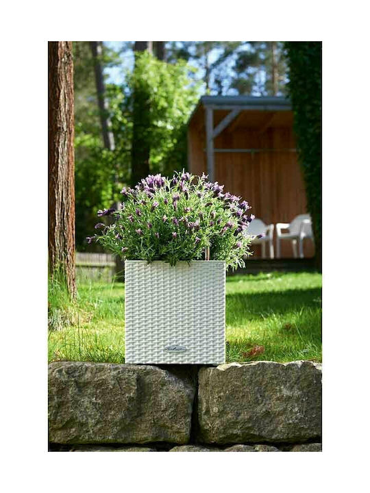 Lechuza Cube Cottage Auto-udare Ghiveci Plastic 29.5x29.5cm.